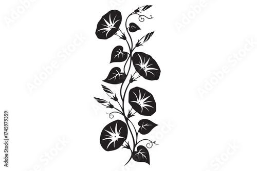 Black silhouette of a morning glory vine with flowers and leaves isolated on transparent background