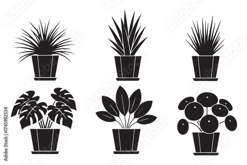 A selection of six different potted houseplant icons in black silhouette, isolated on a transparent background