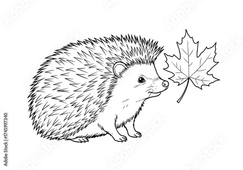 Adorable hedgehog with maple leaf outline, perfect for autumn-themed designs and coloring pages, originally a scalable graphic with nature-inspired design