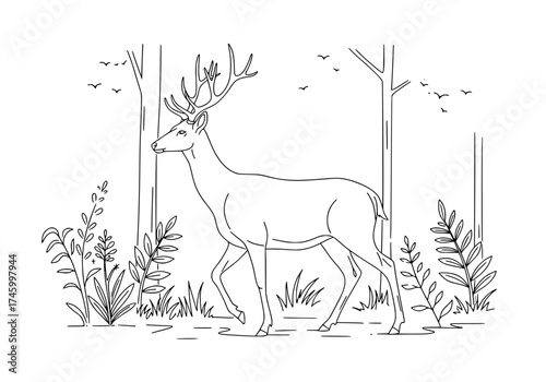 Elegant deer walks through a forest clearing, a timeless nature scene perfect for conservation projects, wildlife education, and outdoor adventure promotions