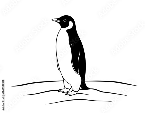 Majestic emperor penguin standing tall, a symbol of resilience and arctic wilderness, perfect for conservation projects and educational resources