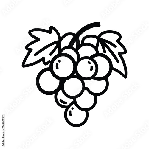 Outlined cluster of grapes and leaves are depicted with a white background