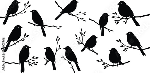 Birds sitting on tree branches silhouette, nature wildlife design, black vector illustration of perched songbirds for decoration and print
