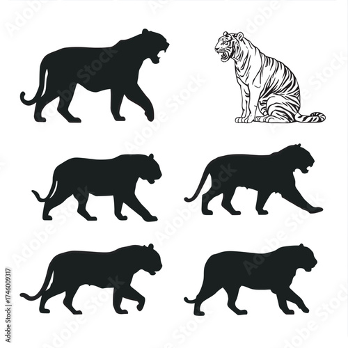 Set of black tigers silhouettes on white background