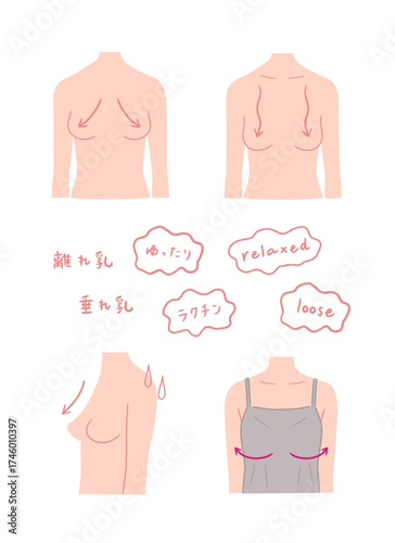 垂れ乳、離れ乳の女性のイラストセット