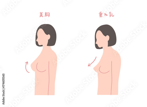 胸が垂れた女性と美胸の女性の横向きイラストセット