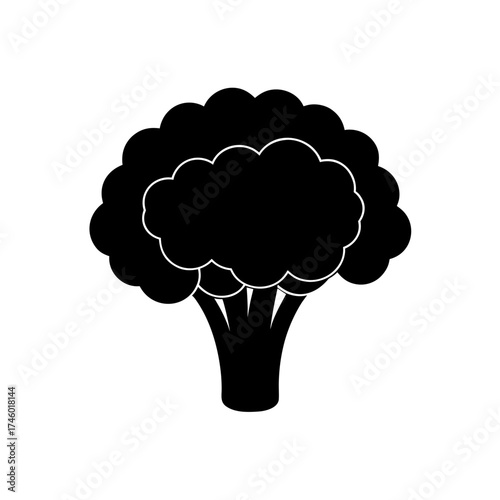 Silhouette of the broccoli on transparent background