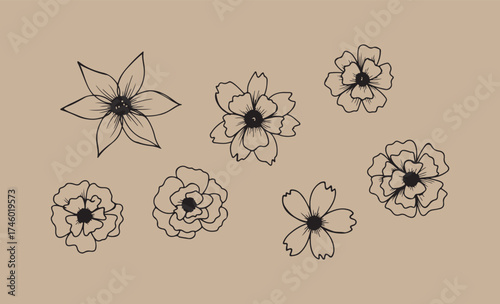 Hand drawn floral illustration of various flowers on a kraft paper background