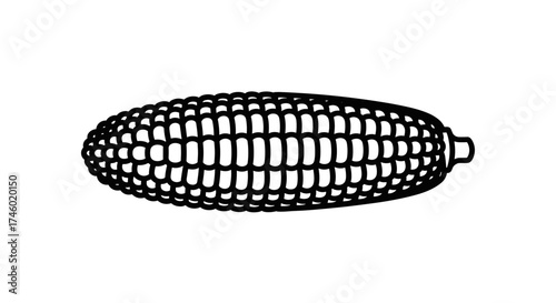 Illustration of a single ear of corn on a white background.