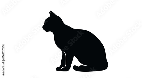 Silhouette of a Black Cat Sitting Calmly.