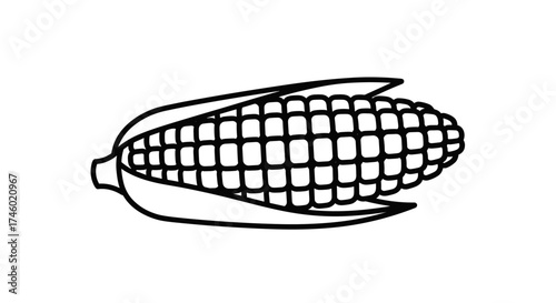 Simple Black and White Line Art Illustration of a Single Ear of Corn.