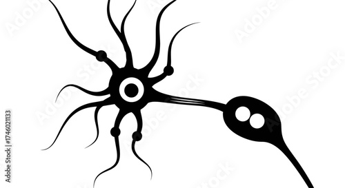 Stylized illustration of a neuron cell body with dendrites and axon.