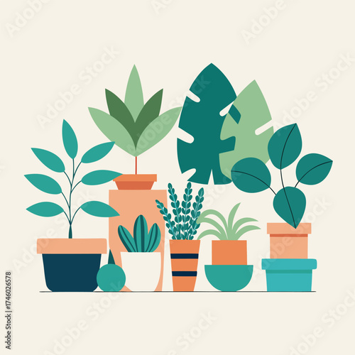 Diverse Potted Indoor Plants Collection houseplants