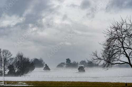 FOG IN LURAY VA