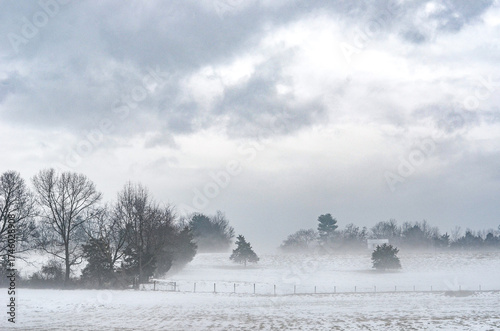 FOG IN LURAY VA