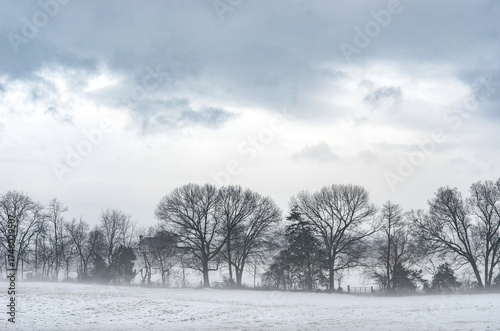 FOG IN LURAY VA