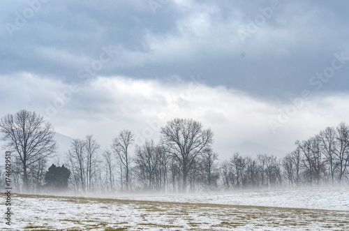 FOG IN LURAY VA