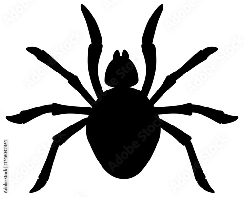 Black silhouette of a spider isolated on a white background. Vector illustration