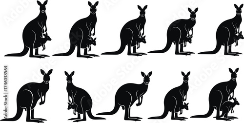 Silhouette of kangaroos with joeys, Australian wildlife illustration, marsupial family design, nature animal vector, mother kangaroo caring babySilhouette of kangaroos with joeys, Australian  