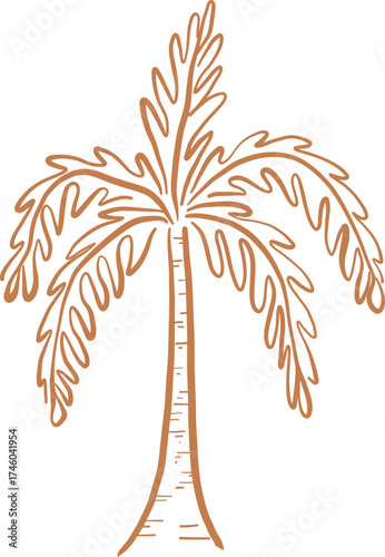 Line Art Tropical Palm Tree With Rounded Leaves