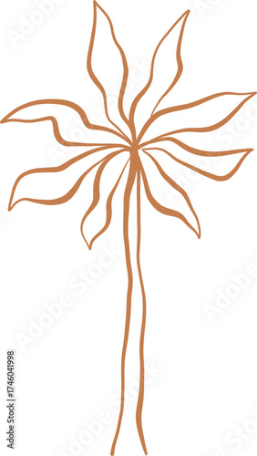 Line Art Tropical Palm Tree With Rounded Leaves