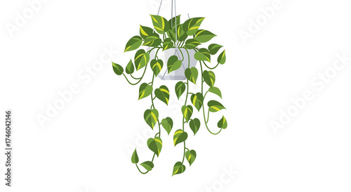 Hanging green plant with yellow variegation in a white pot, illustration