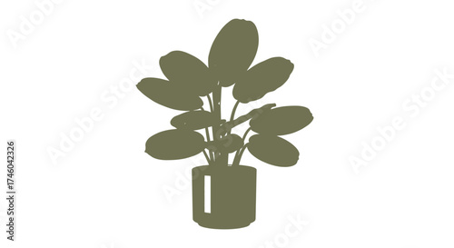 A potted plant with large, broad leaves, set against a plain white background, depicting a simple, modern houseplant illustration