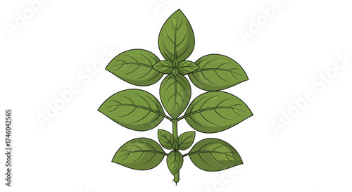 A vibrant illustration of fresh green basil leaves, perfect for culinary or decorative use