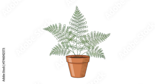 A potted fern plant with a star-shaped frond, illustration in green and brown tones against a white background