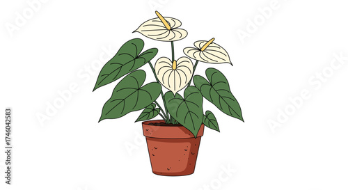 Cute cartoon drawing of an anthurium plant in a terra cotta pot with large green leaves and white flowers
