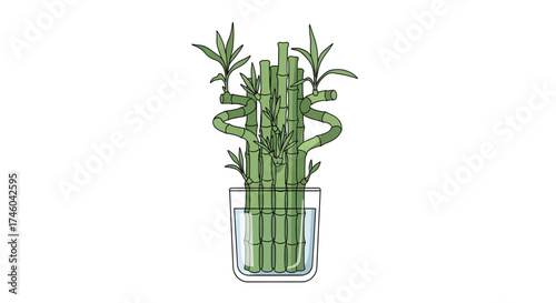 A Lucky Bamboo plant in a clear glass vase with water, symbolizing good fortune and prosperity for home or office decor