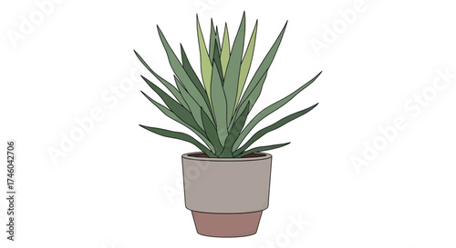 A vibrant green potted plant with pointed leaves, adding a touch of natural beauty to any indoor space