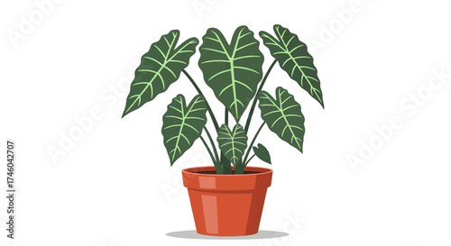 Illustration of a lush green elephant ear plant in a terracotta pot, a vibrant representation of indoor greenery and nature