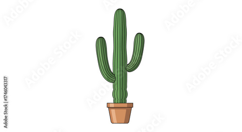 Green potted Saguaro cactus with three arms standing tall in a terracotta pot on a white background