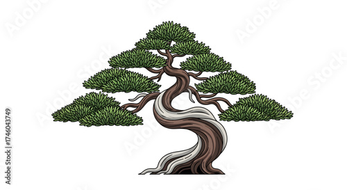 A detailed vector illustration of a classic Japanese bonsai pine tree with a twisted trunk. This design symbolizes nature, harmony, and zen, isolated on white