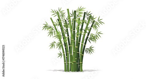 A Lush Cluster of Tall Green Bamboo Stalks with Broad Leaves, Representing Nature's Serenity and Growth