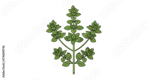 Green botanical branch with leaves and buds, a symbol of growth and nature's beauty