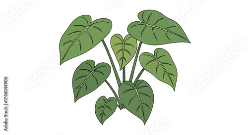 Vibrant Green Leaves Illustration - A Beautifully Rendered Tropical Plant with Broad Foliage