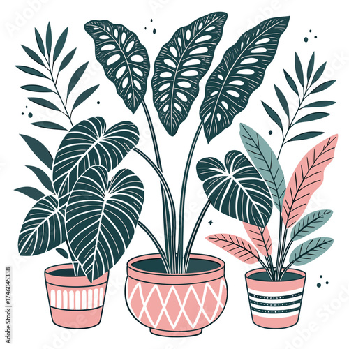 Three potted tropical houseplants with decorative pots