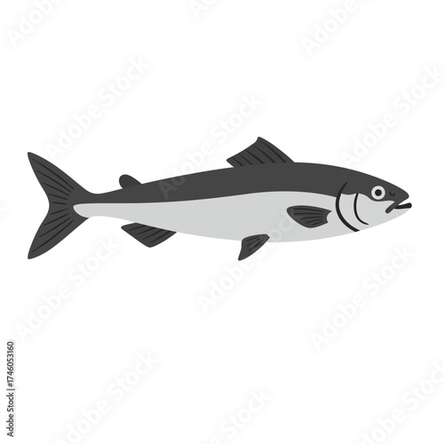 A simple illustration of a fish, showcasing its streamlined body and fins.