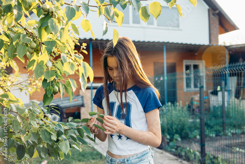 Asian teen girl picking leaves from tree in backyard garden during sunny evening with curious expression near suburban house and green foliage, family lifestyle, gardening blog, vertical