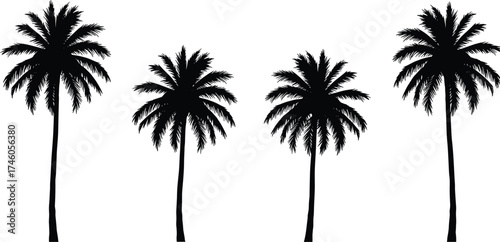 Tropical palm tree silhouettes on white background, summer nature illustration, exotic beach vacation concept, black palm trees art