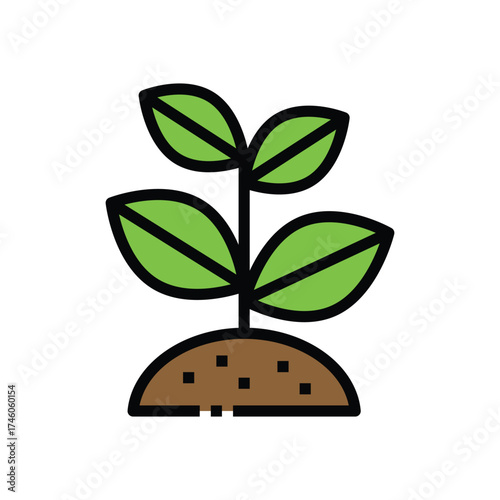 A young plant with green leaves growing from a brown mound of soil