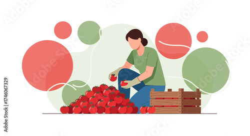 Harvesting Tomatoes: A Vibrant Vector Illustration of Agriculture and Fresh Produce