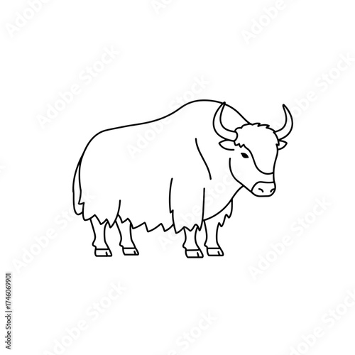 Line Art Illustration of a Majestic Yak