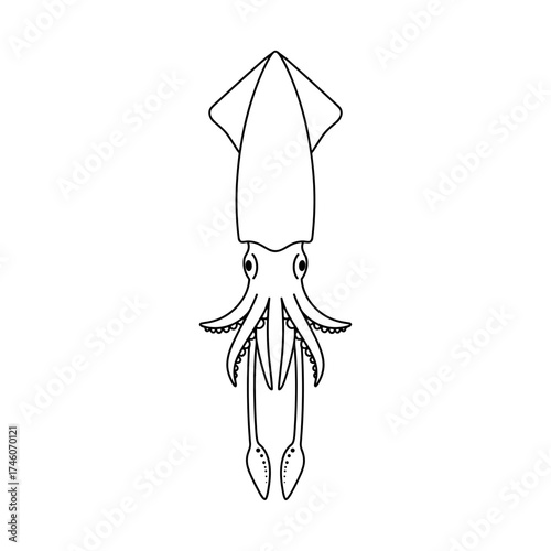 Stylized Squid Illustration with Detailed Tentacles and Distinctive Head Shape