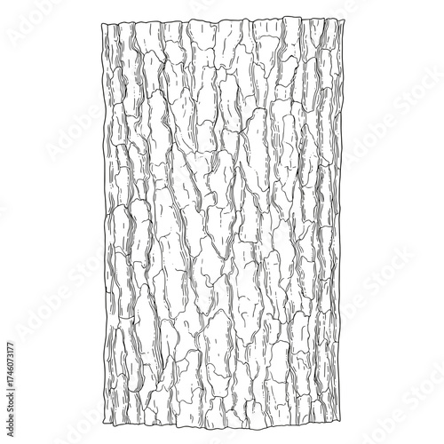 Detailed Bark Texture Illustration with Intricate Line Work and Natural Patterns