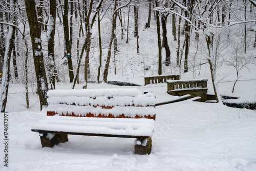 Bench covered in snow in the pak on a winter day
