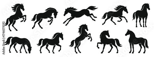 Set of Black Horse Silhouettes in Different Poses and Movements. Chinese New Year Silhouette Horses.