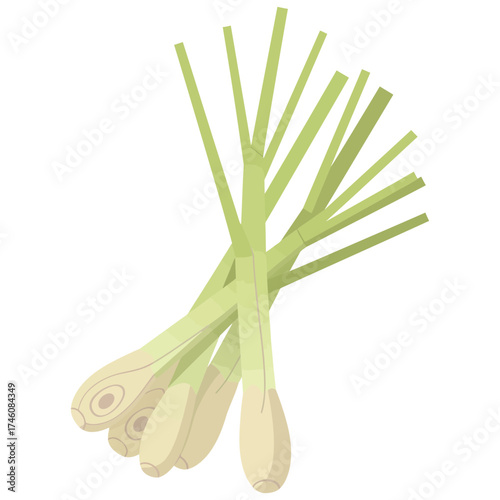 Lemongrass Flat Design Vector Icon